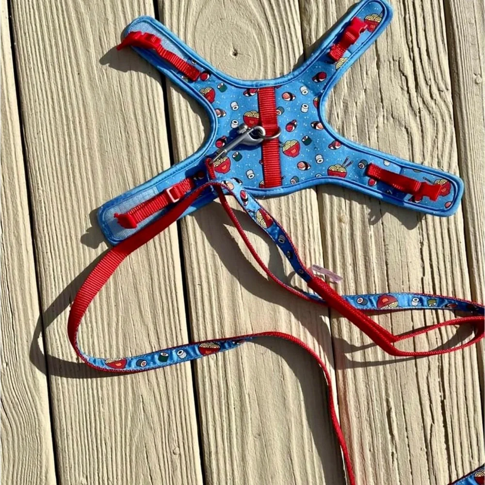 Kitten leash & harness